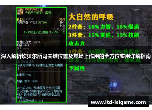 深入解析坎贝尔所司关键位置及其场上作用的全方位实用详解指南 深入解析坎贝尔所司关键位置及其场上作用的全方位实用详解指南
