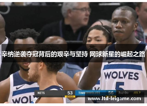 辛纳逆袭夺冠背后的艰辛与坚持 网球新星的崛起之路