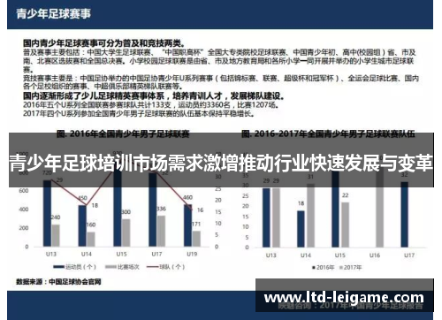 青少年足球培训市场需求激增推动行业快速发展与变革